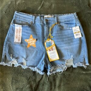 Light Blue Distressed Jean Shorts